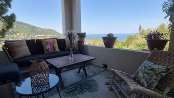 Terras