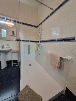 Shower, hair dryer, bidet, towels