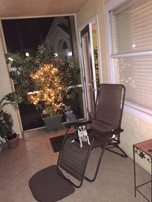 Eine Terrasse mit einem Stuhl, einem kleinen Hund und einem Blumentopf mit Lichterkette.