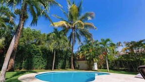 Una piscina rodeada de palmeras y follaje.