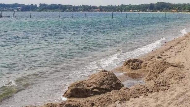 Une plage à l’eau claire, avec un rivage sablonneux et une ligne d’arbres à l’horizon.