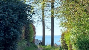 Un sentier étroit menant à un plan d’eau, bordé d’une végétation dense et d’arbres imposants.