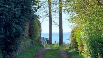 A narrow path leading to a body of water, surrounded by dense foliage and tall trees.