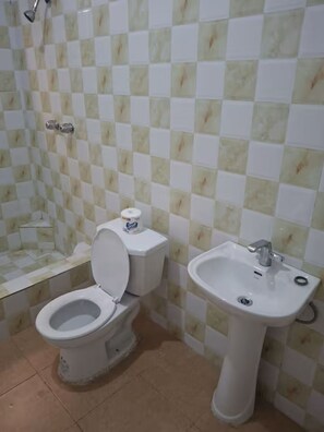 Hair dryer, towels, soap, toilet paper