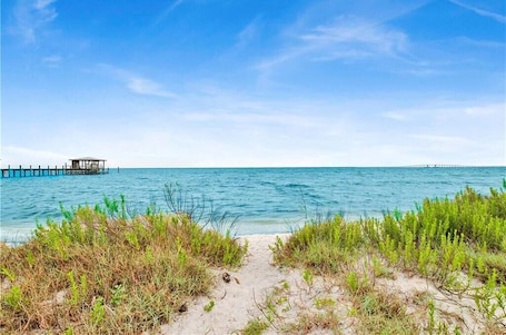A beach with a pier extending into the water, sandy beach, and green vegetation.