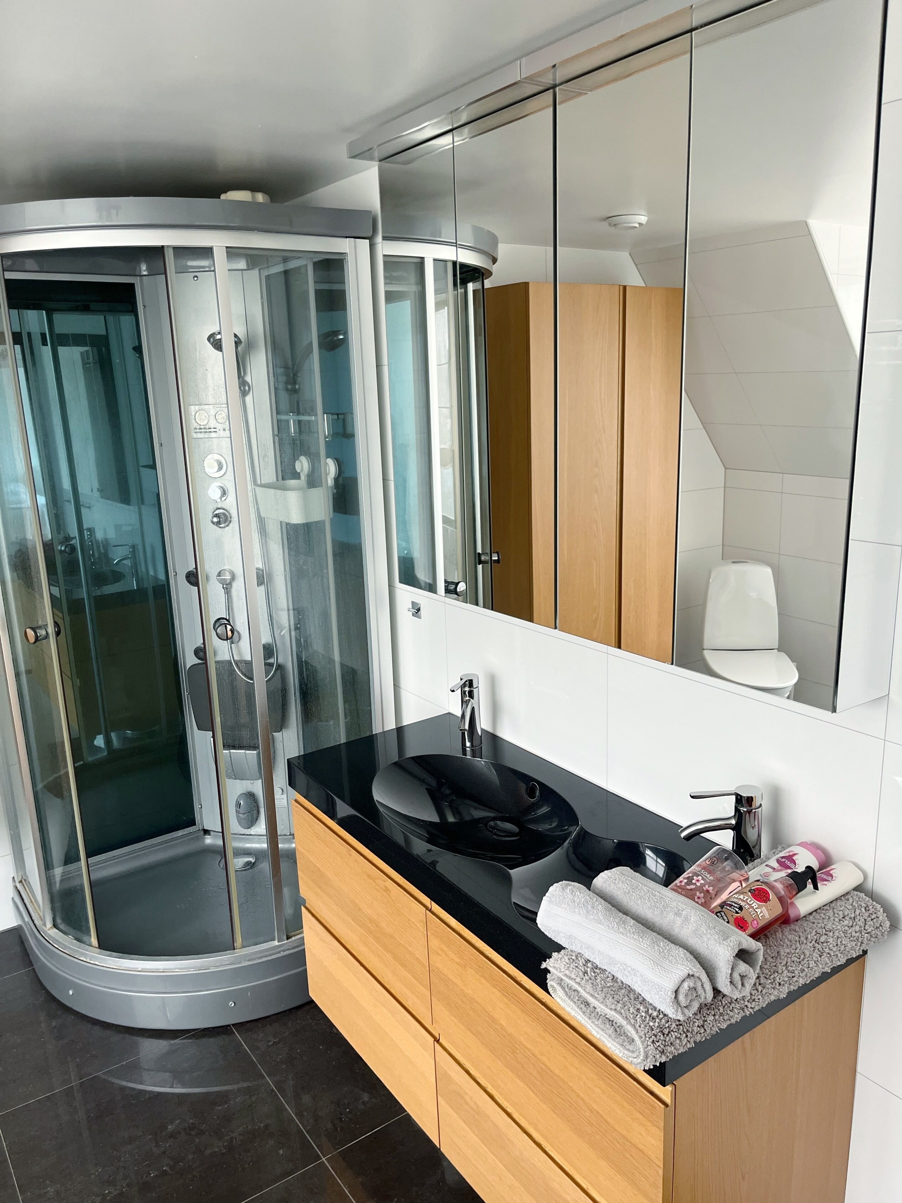 Shower, hair dryer, towels, toilet paper