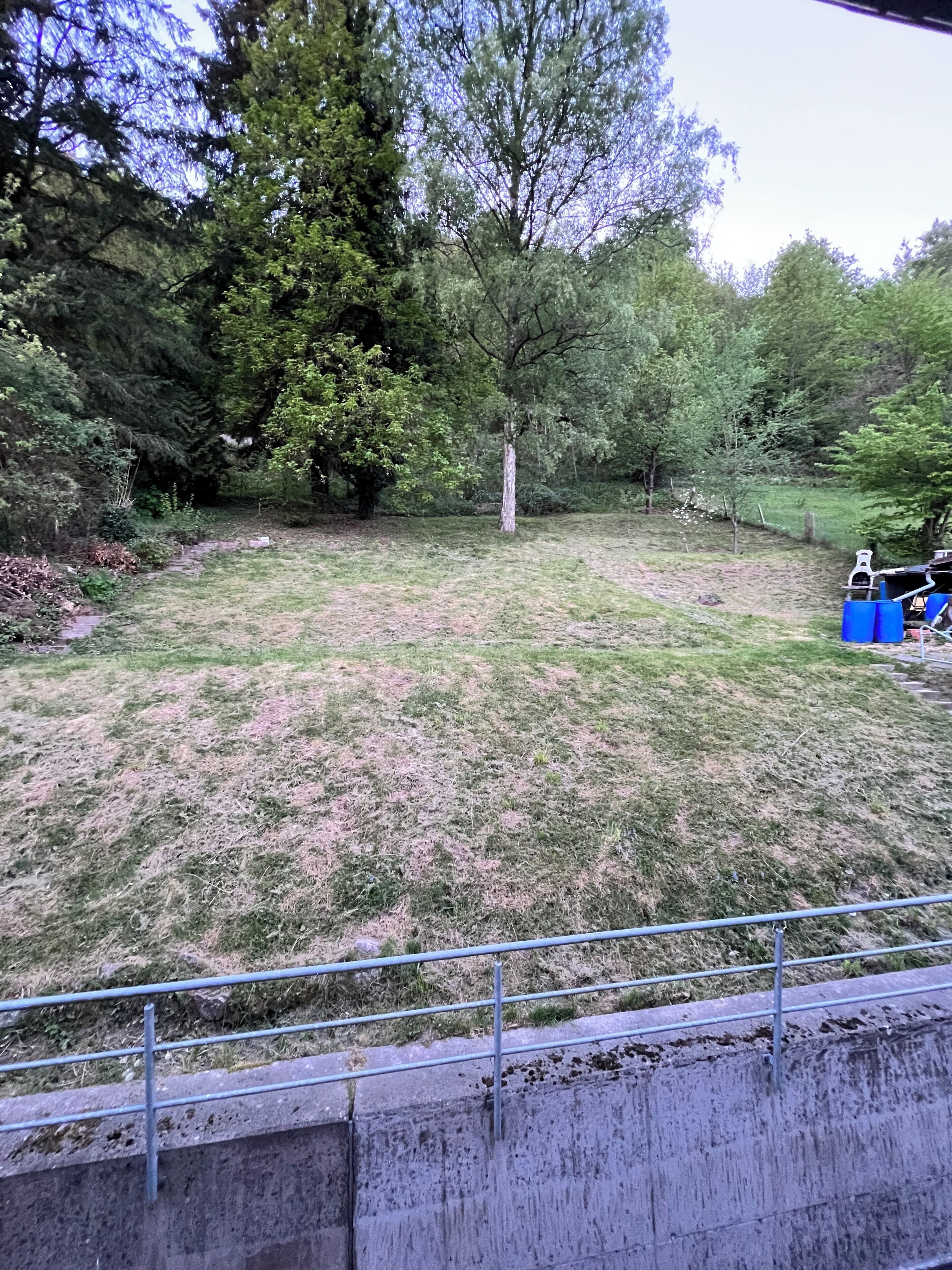 Eine begrünte Fläche mit Bäumen und einer Betonbarriere.