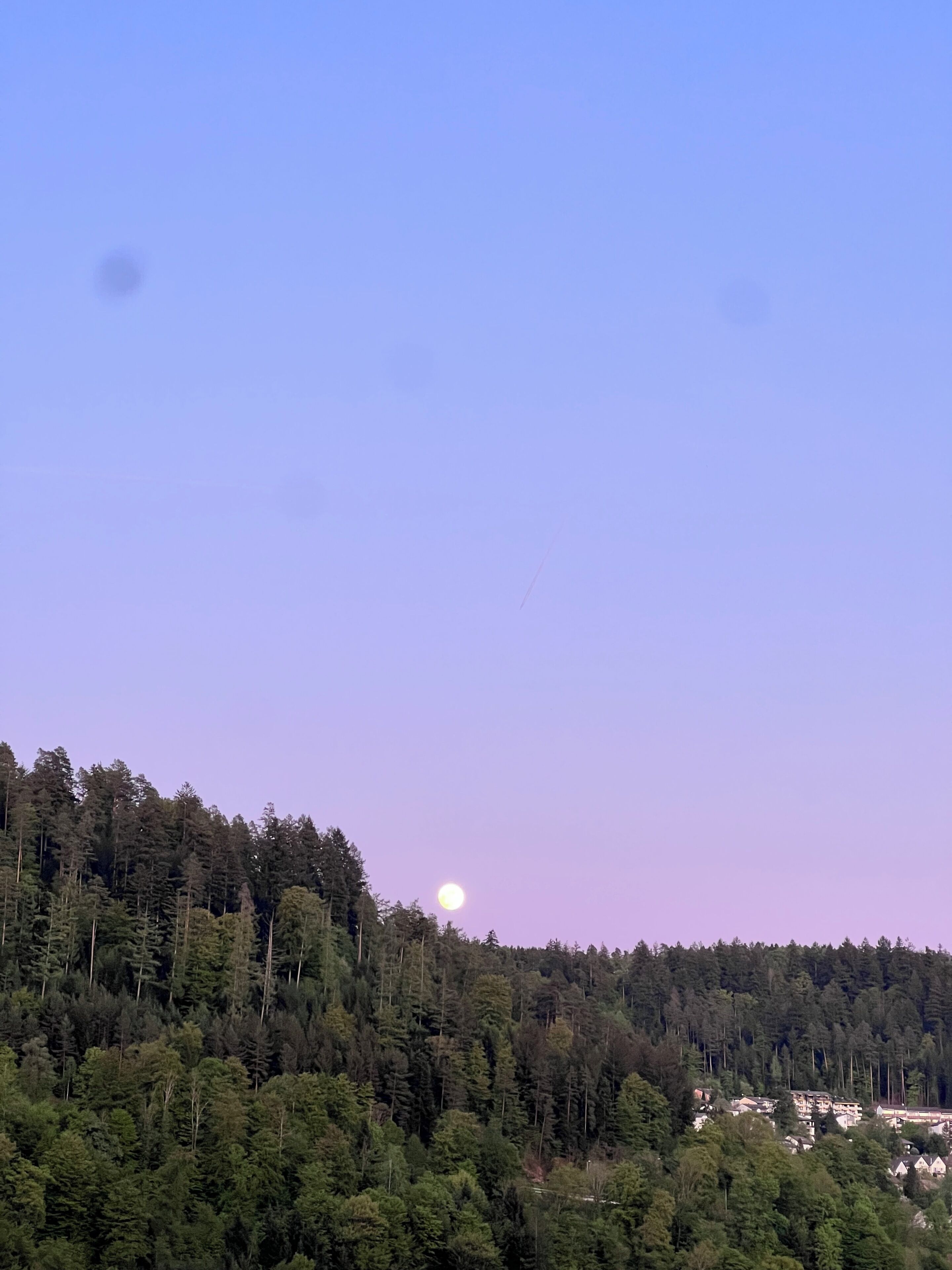 Un área boscosa con cielo despejado y una luna visible.