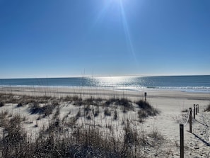 Ein Strand mit Sand, Gras und blauem Himmel.