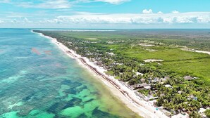 Eine Vogelperspektive einer Küstenlandschaft mit Strand, Gebäuden und viel Grün.