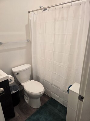 Ein Badezimmer mit Toilette, Duschvorhang, Handtuchhalter, Mülleimer und einem grünen Teppich.