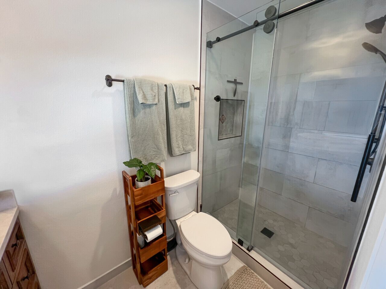 Een moderne badkamer met een douchecabine van glas, een toilet en een houten plankje met een plant.