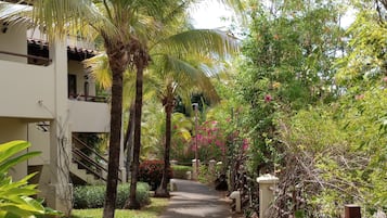Un sendero bordeado de palmeras y follaje, que conduce a un edificio con balcón.