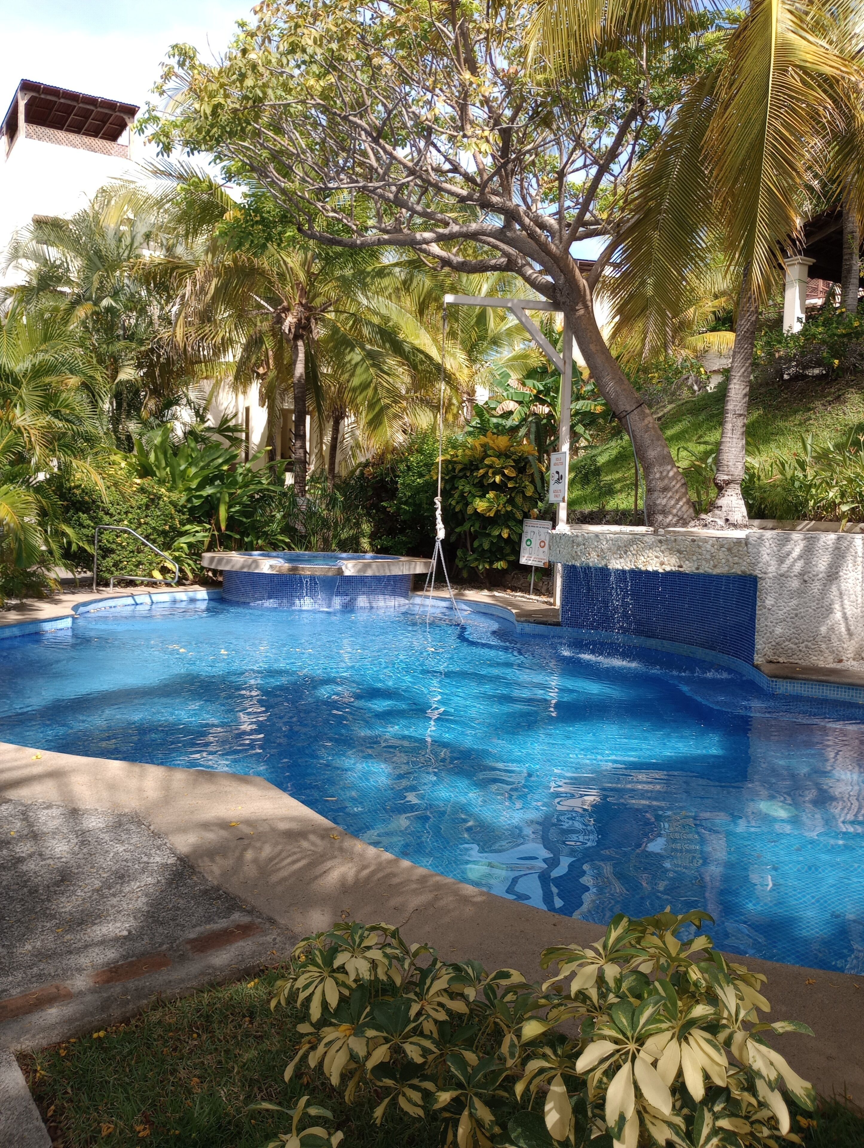 Una piscina rodeada de exuberante vegetación y un edificio al fondo.