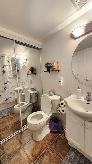 Bathroom - Stylish 1BD apartment-Walk 2 BMOField&RBC AMPHITHEATER (BUDWeiser stage)-Toronto (Toronto)