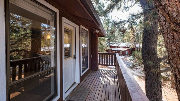 Une terrasse en bois avec des portes vitrées, entourée d’arbres.