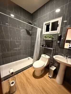 Shower, hair dryer, towels, soap