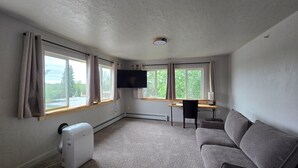 Una habitación con un ventanal grande, una televisión de pantalla plana, un calentador, un escritorio y un sofá.