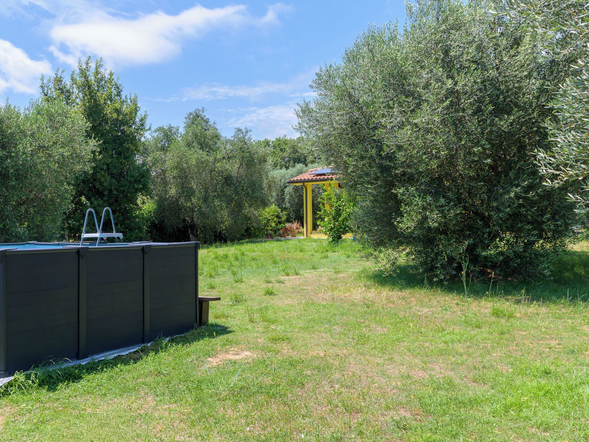 A swimming pool with a ladder, surrounded by greenery and a gazebo.