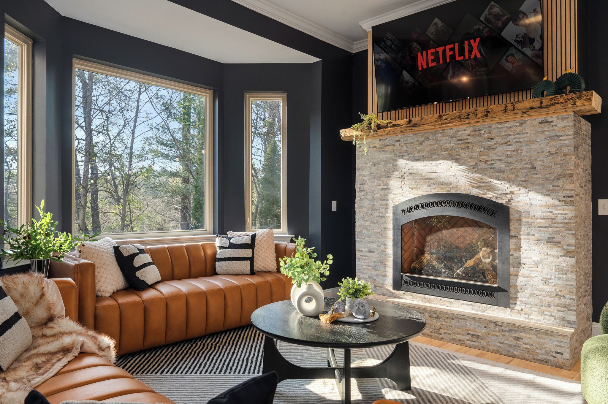 Smart TV, fireplace, video library, offices
