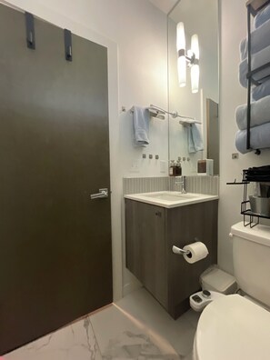 Bathroom - Lovely 1bd Suite with AC in Central Seattle-get anywhere easily! (Seattle)