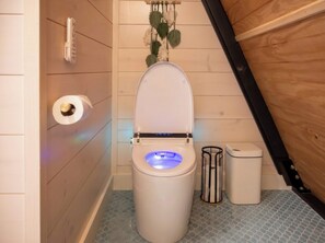 Ducha, secador de pelo, bidet, toallas