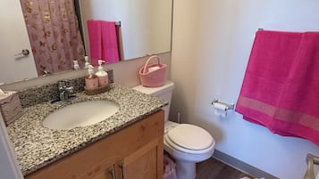 Hair dryer, towels, soap, toilet paper