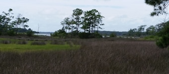 Charming 3 bedroom retreat on North Leopard Creek near Beaufort, NC