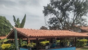 A blue building with a red roof, surrounded by greenery and a cactus. - Chalet São Jorge where nature predominates (São Pedro)