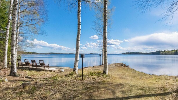 Udsigt over en sø med birketræer, en dok med stole og en klar himmel.