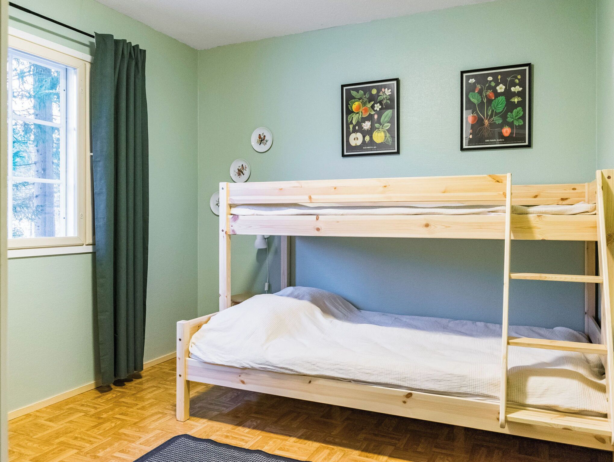 Habitación con literas, ventana, puerta e ilustraciones enmarcadas de plantas en la pared.
