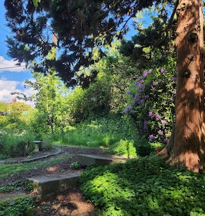 A garden with a large tree, a metal fence, and various plants.