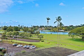 Property grounds - Hilo Lagoon Studio with cool AC, Amazing Views, Wi-Fi, Pool (Hilo)