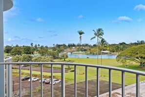 Property grounds - Hilo Lagoon Studio with cool AC, Amazing Views, Wi-Fi, Pool (Hilo)