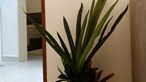 Ein Blumentopf in einer Ecke, ein Lichtschalter an der Wand und ein Durchgang zu einem weiteren Raum.