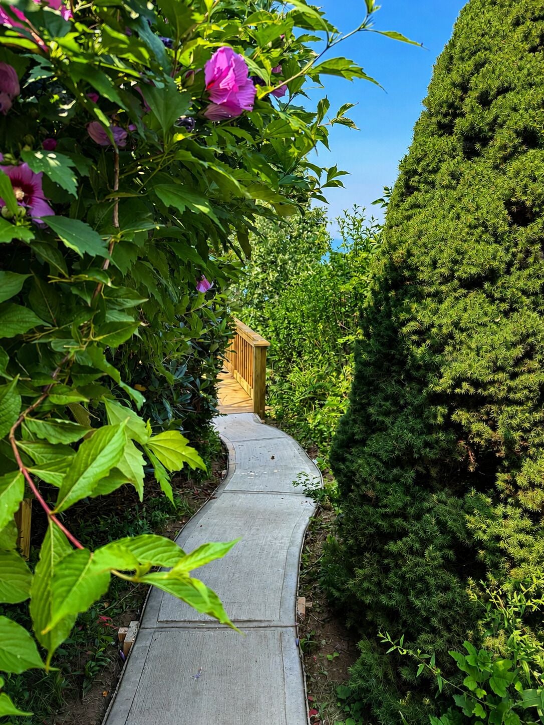 A garden pathway leading to a wooden gate, surrounded by lush greenery and flowering plants.