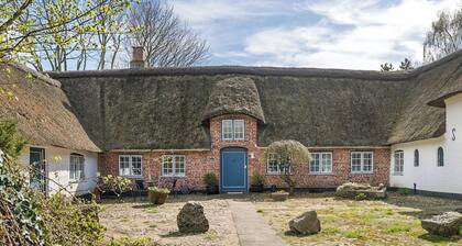Spacious holiday home near Ribe for 11