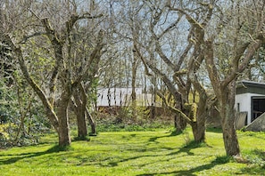 A grassy area with trees and a building in the background.