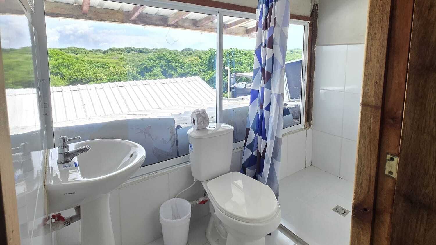 シャワー、タオル、石鹸、トイレットペーパー