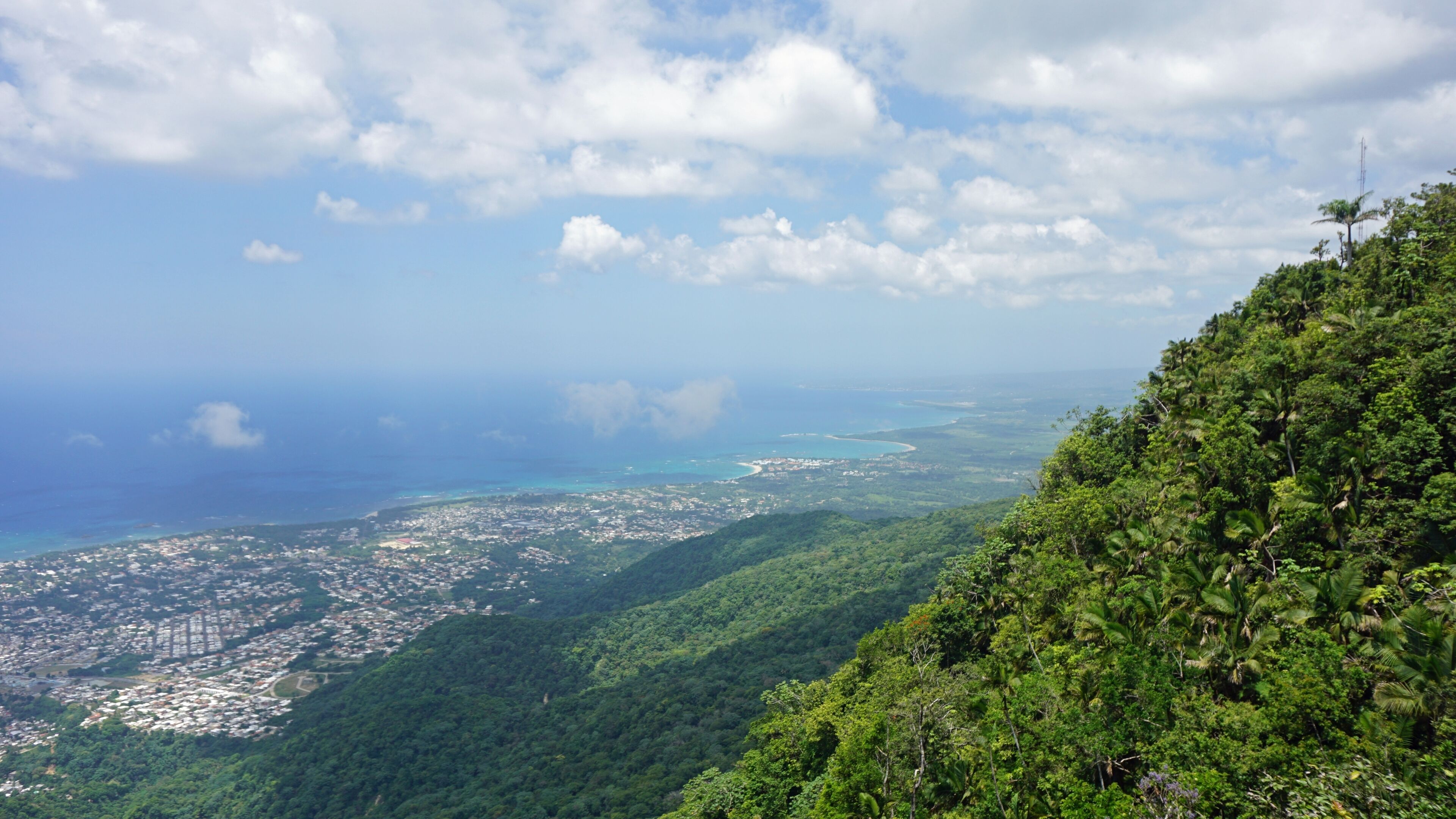 Eine Küstenstadt mit üppiger Vegetation und freiem Blick auf das Meer.