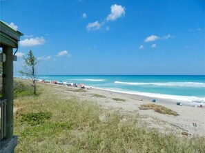 Beach - ISLAND WITH WATERFRONT (Jensen Beach)