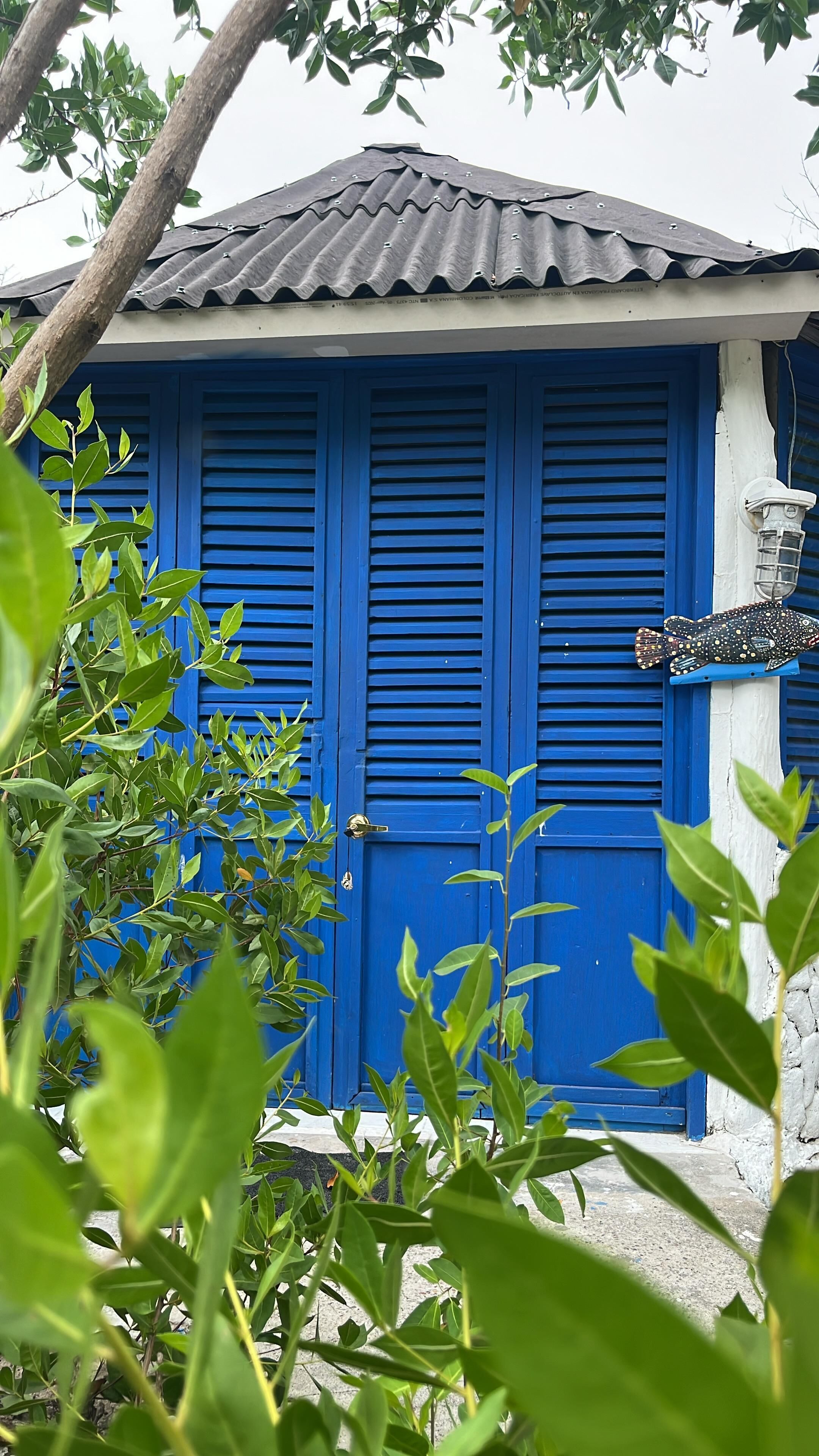 Habitación doble junior, patio | Detalle exterior