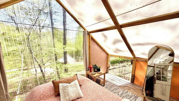 Une chambre aménagée comme une tente, avec un grand lit, une petite table ornée d’une plante et une vue sur les arbres par la fenêtre.