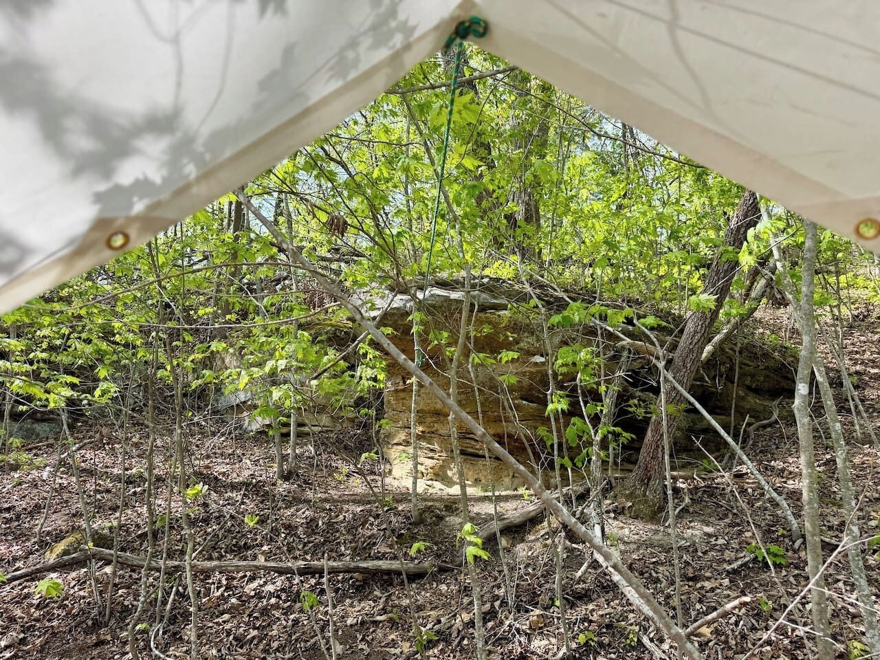 Una carpa montada en una zona boscosa, con árboles y una formación rocosa al fondo.