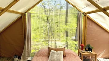 WiFi, bed sheets