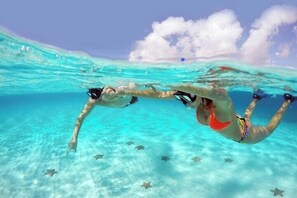 Pool - Oceanfront Mareazul w/ jacuzzi and 120m pool (Playa del Carmen)