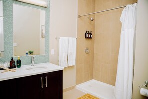 Shower, jetted bath, hair dryer, bidet - Luxury 2BR Cambridge Oasis. Walk to Harvard, MIT & River (Cambridge)