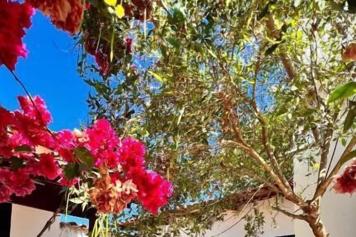 Triple Room, Garden View | Property grounds