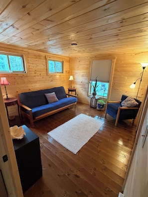 Ein gemütliches Blockhaus-Interieur mit Holzboden, einem blauen Sofa, einem kleinen Teppich und einem Fenster mit einer Pflanze.