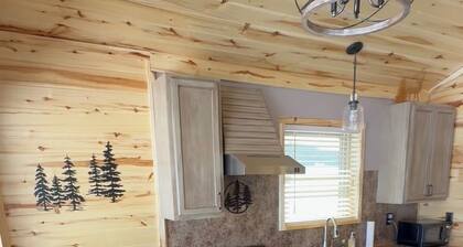 Red Iron Cabin-Cozy 1 bedroom Cabin surrounded by National Forest.